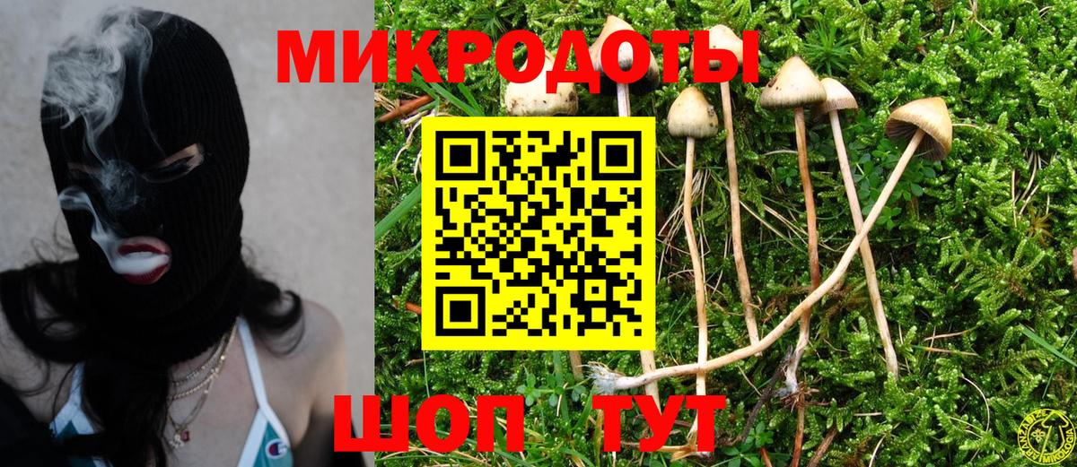 Галлюциногенные грибы Psilocybe  Вход с VPN  Новосибирск 